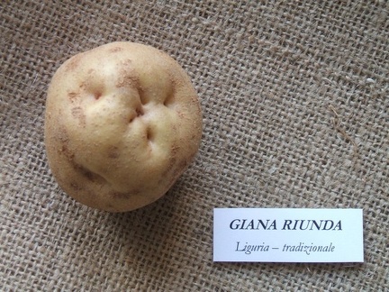 gianariunda