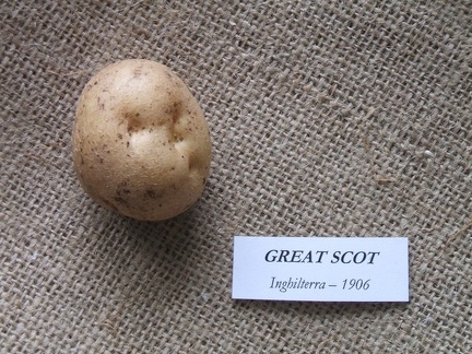 greatscot