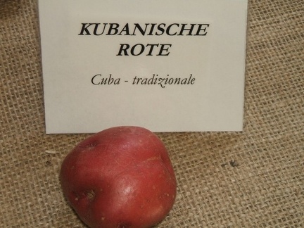 kubanischerote